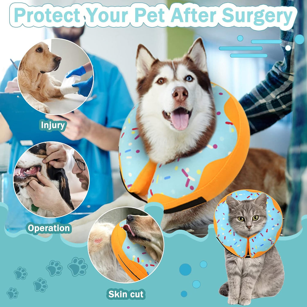 Small dog wearing the blue adjustable pet neck donut after surgery.