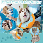 Small dog wearing the blue adjustable pet neck donut after surgery.