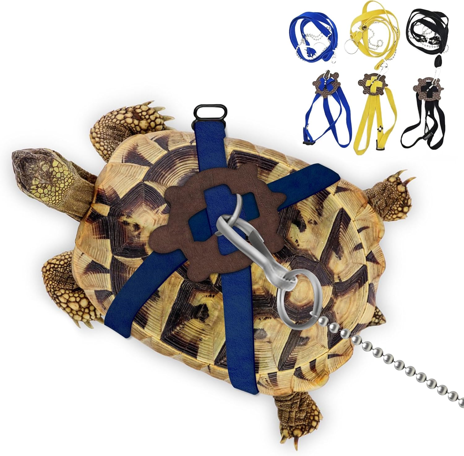 Hokable pet turtle leather harness and control leash in blue color front view