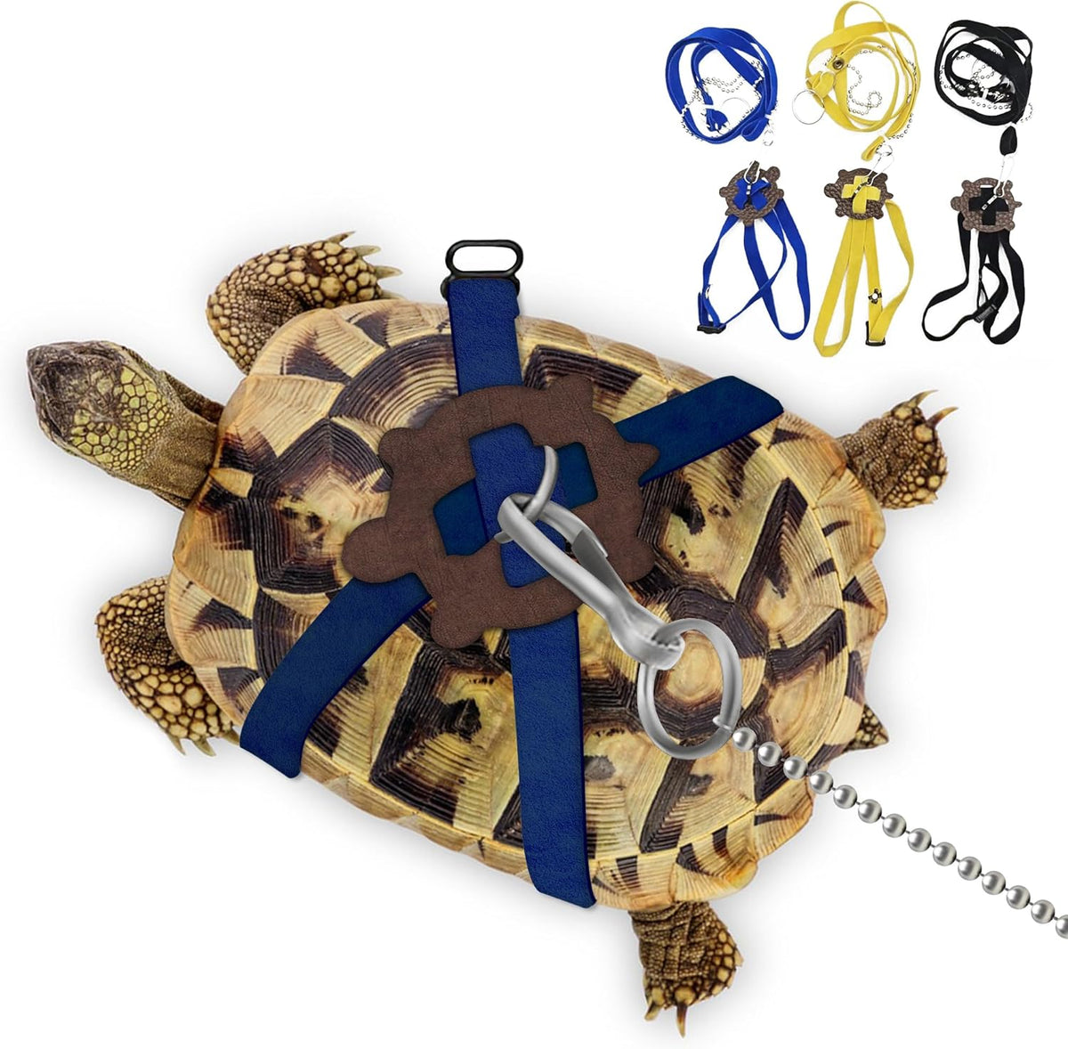 Hokable pet turtle leather harness and control leash in blue color front view