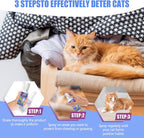 Application of cat deterrent spray on living room sofa