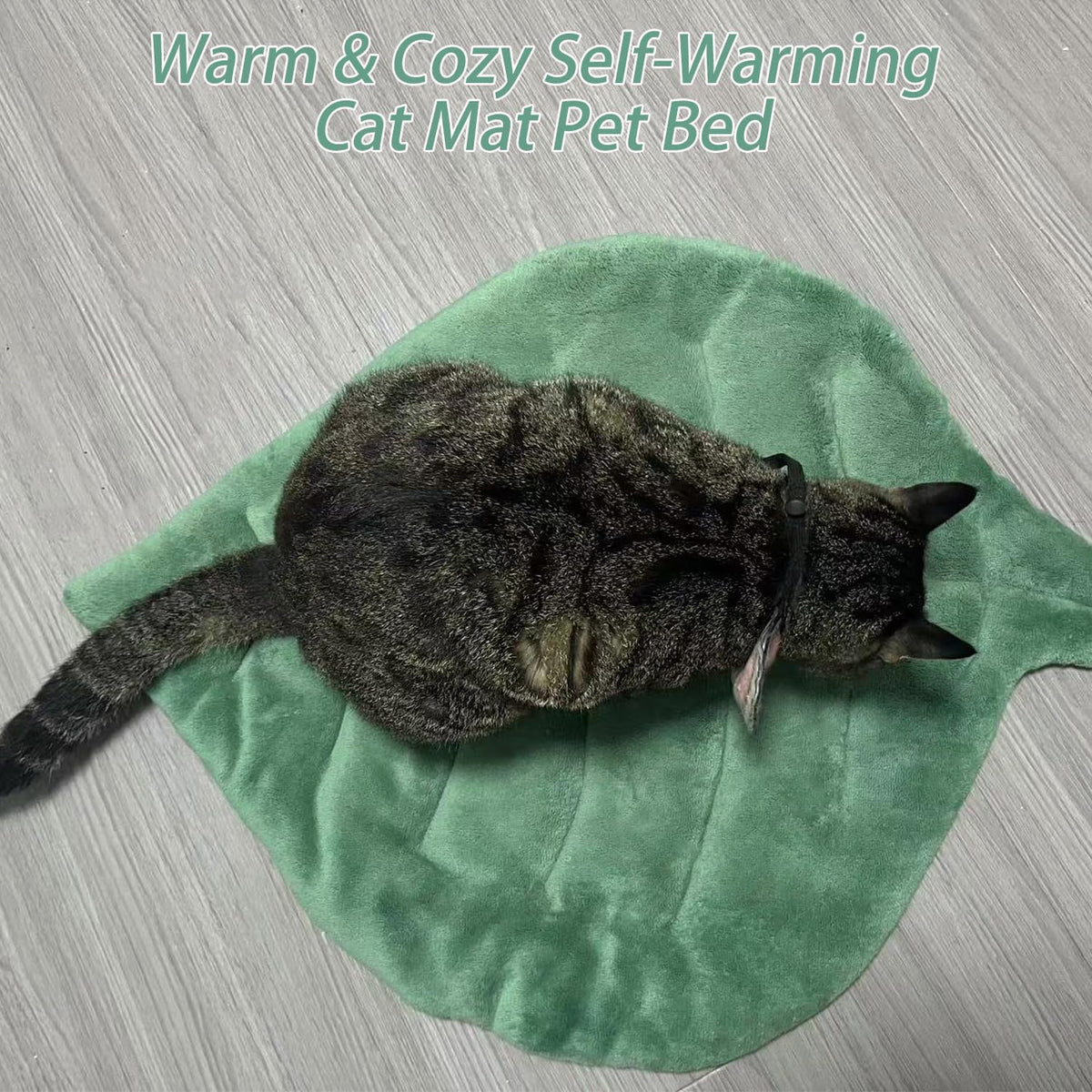 Lightweight and breathable leaf shaped puppy mattress being placed inside a carrier