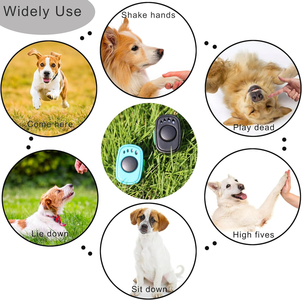 OYEFLY HoAoOo animal behavior training tool showing the adjustable strap attachment