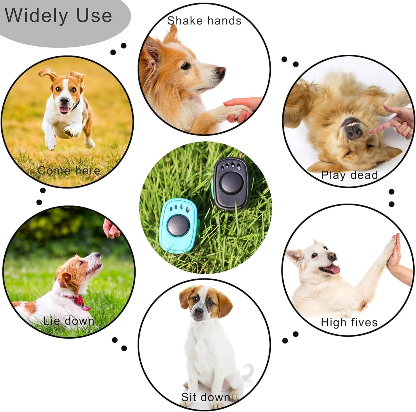 HoAoOo durable pet training accessory set next to a pocket to illustrate its compact size.