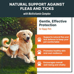 Natural flea control liquid drops for dogs and cats being added to pet food