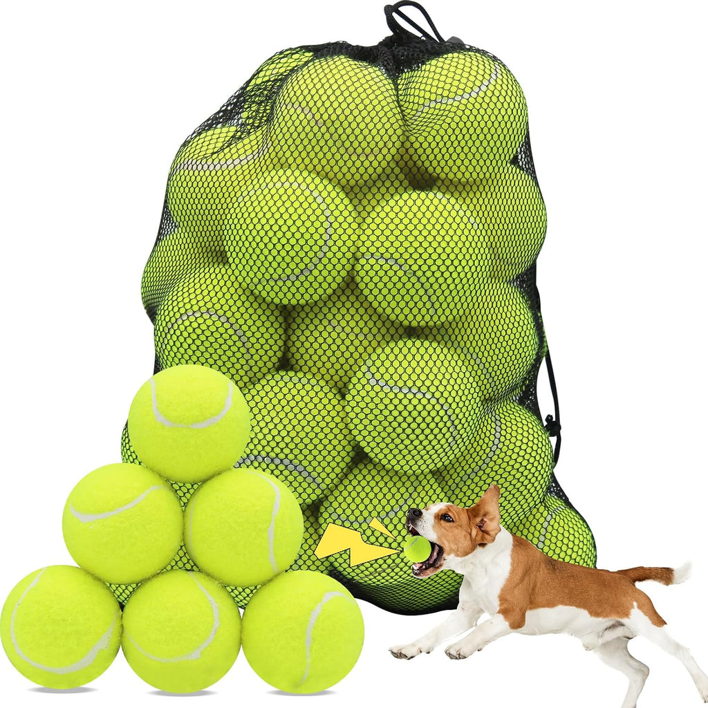 Swingers Squeaky Tennis Balls for Dogs,2.5 inch Training Tennis Balls,Exercise Ball for Pet Dog with Mesh Carry Bag Easy to Transport (Multicolor, 6 Pack) - Image 11