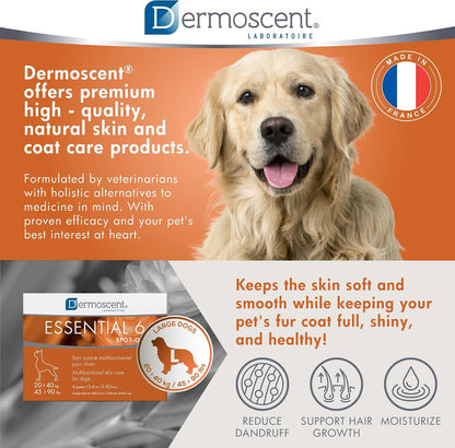 Dermoscent veterinary formula allergy relief spot-on box back