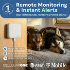 Necto 3-in-1 cellular sensor displaying status