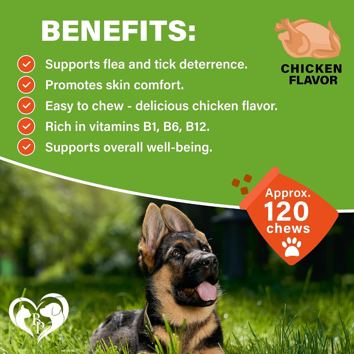 Beloved Pets USA made pet pest control soft chews on a plain background