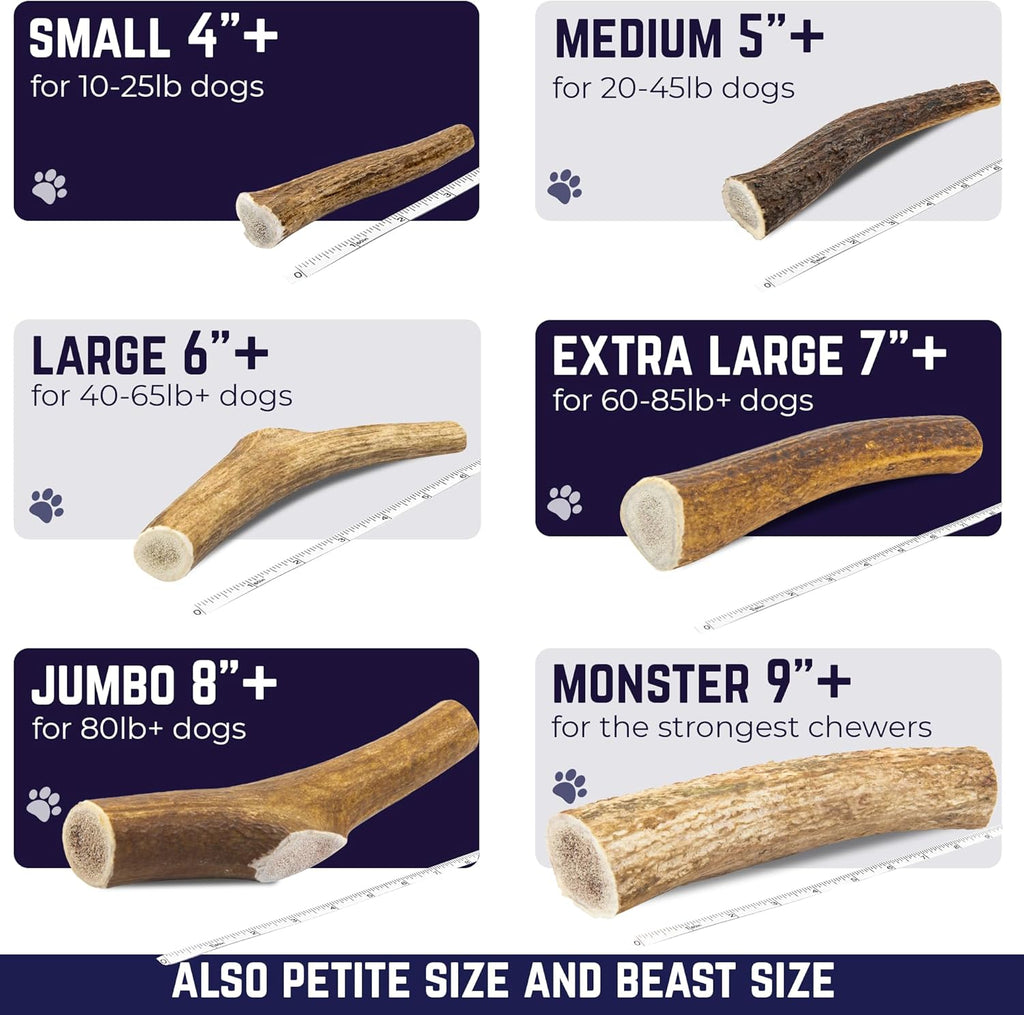 Devil Dog Pet Co imported dog chew suitable for medium sized power chewing breeds