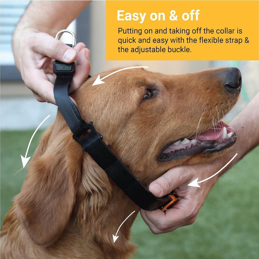 Heavy duty water resistant dog collar for small breeds.