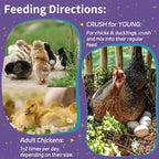 2LB Dried Mealworms for Chickens - 52% Protein for Growth - Image 7