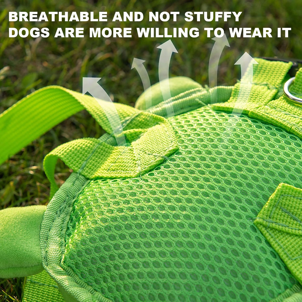 Ammpoure turtle shape pet rucksack displaying the secure leash attachment buckle