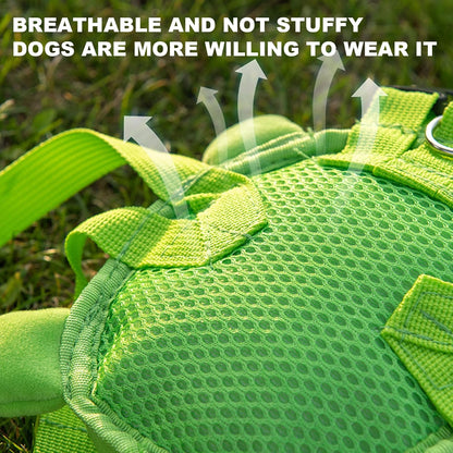 Ammpoure turtle shape pet rucksack displaying the secure leash attachment buckle