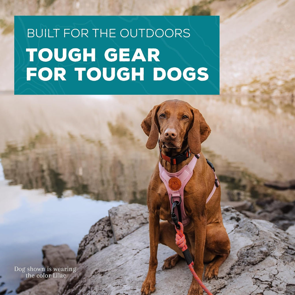Wilderdog breathable hiking harness adjustable neck straps