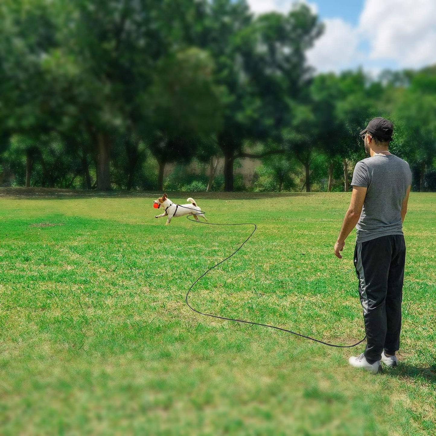 Rypet long leash hardware showing 360 degree rotation