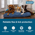 Close up of Seresto 8 month protection collar for large dogs