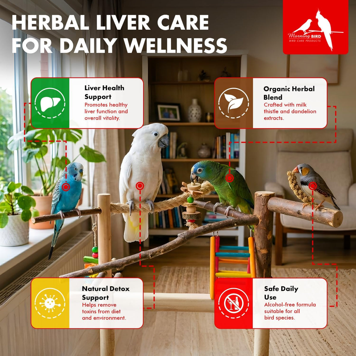 Liquid liver detoxification supplement for pet birds in one fluid ounce bottle