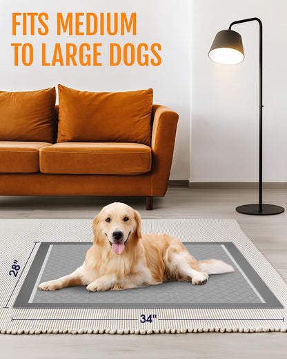 Powools ultra large premium charcoal wee wee pads pack for multi pet households.