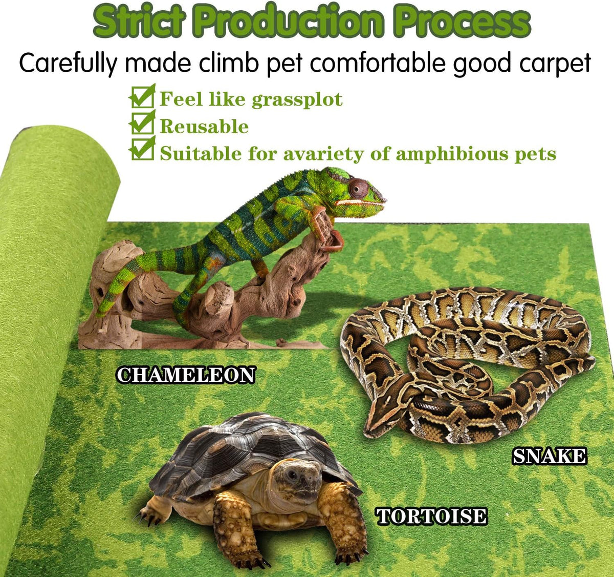 Mclanzoo reptile carpet shown placed inside a glass terrarium enclosure