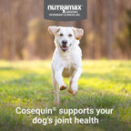 Premium imported dog hip and joint care chews for adult and senior dogs