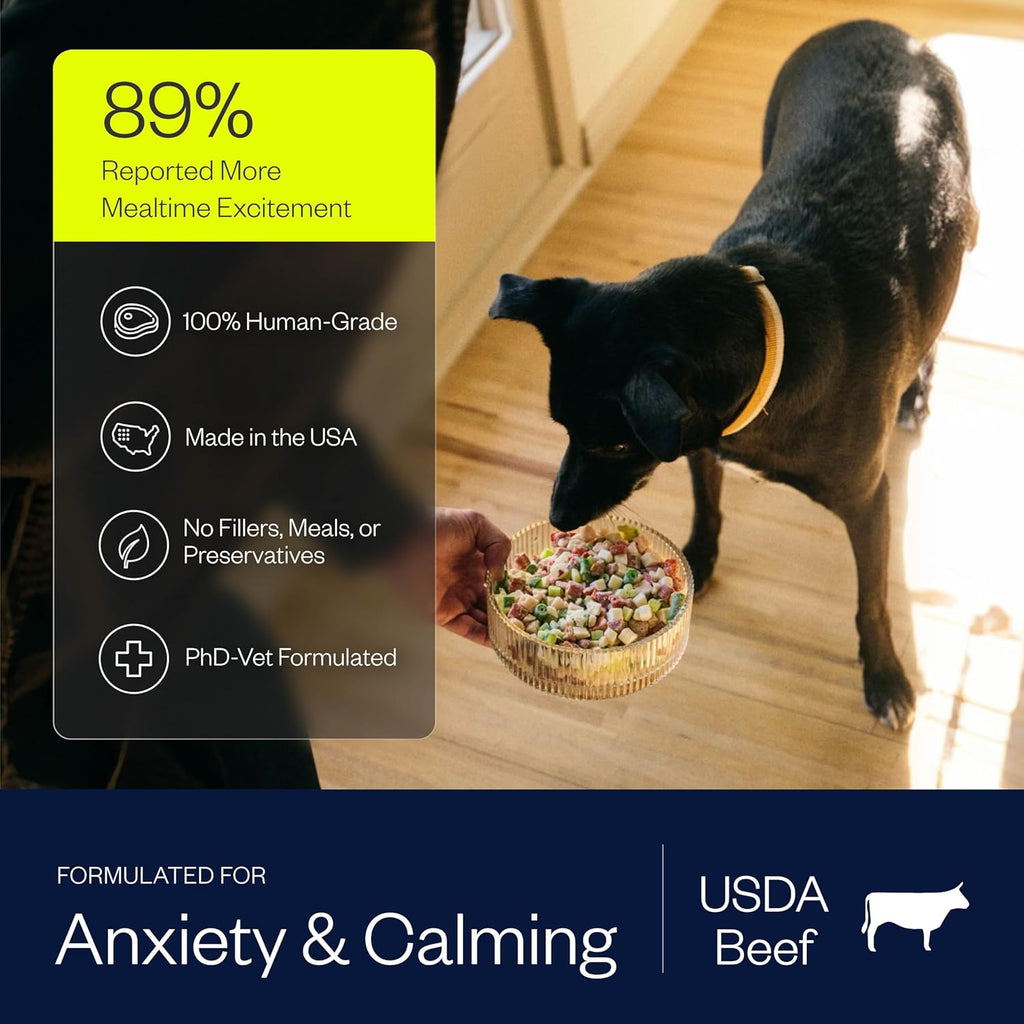 Healthy dog eating Maev raw beef meal from a bowl