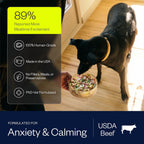 Healthy dog eating Maev raw beef meal from a bowl