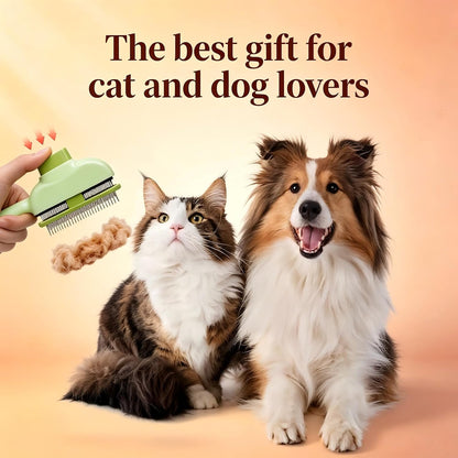 Using generic flea comb on pet fur for hair removal