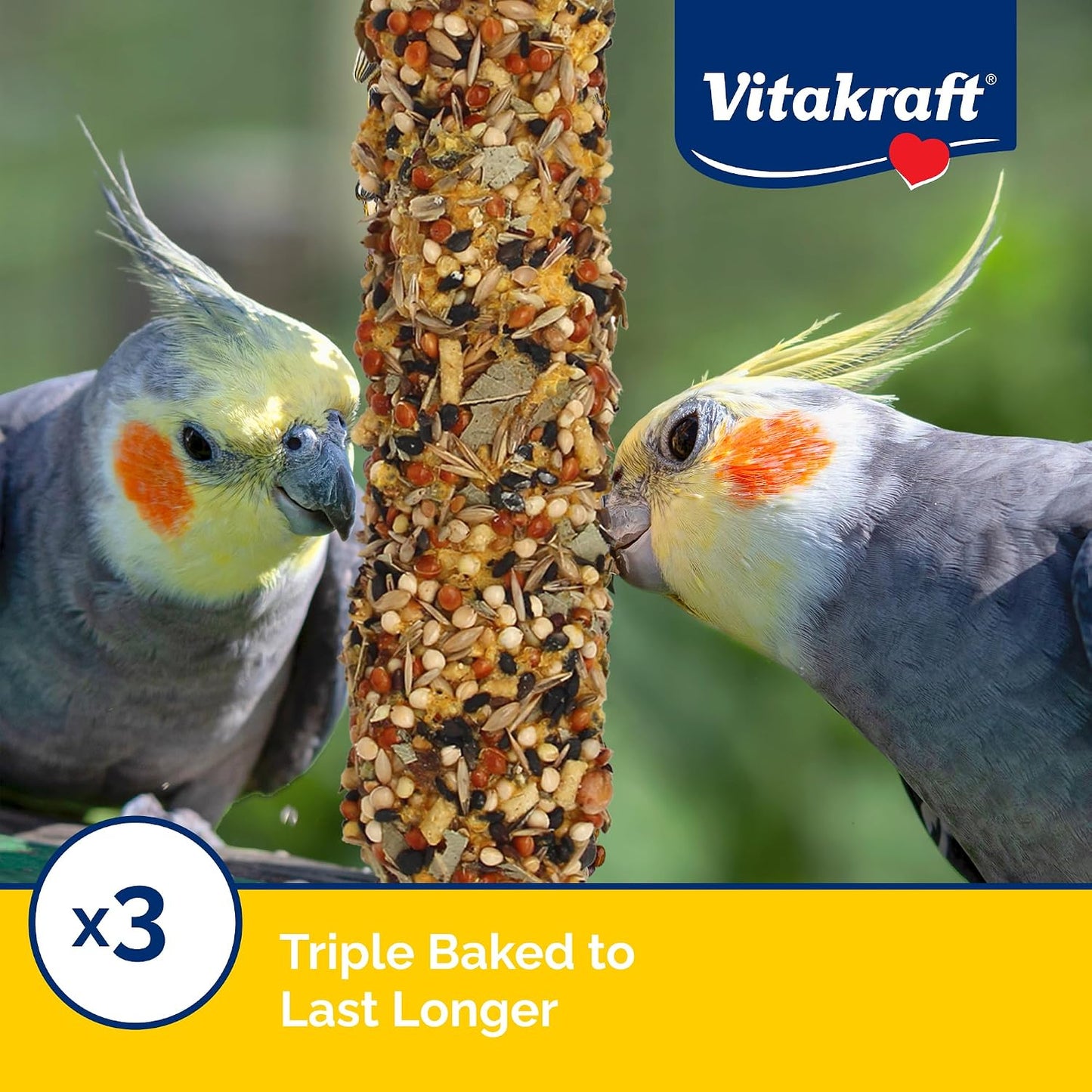 Close up of triple baked bird treat texture