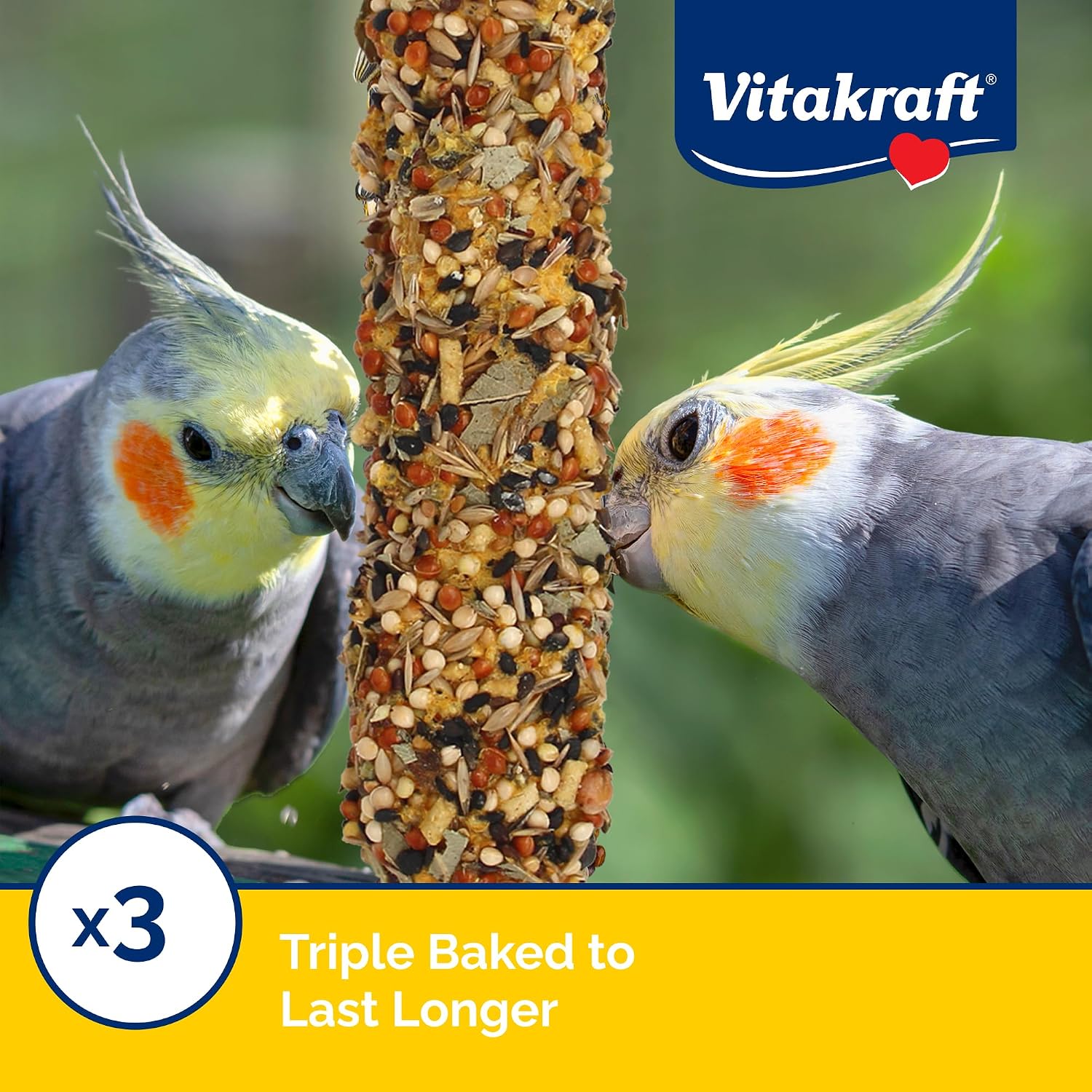 Close up of triple baked bird treat texture