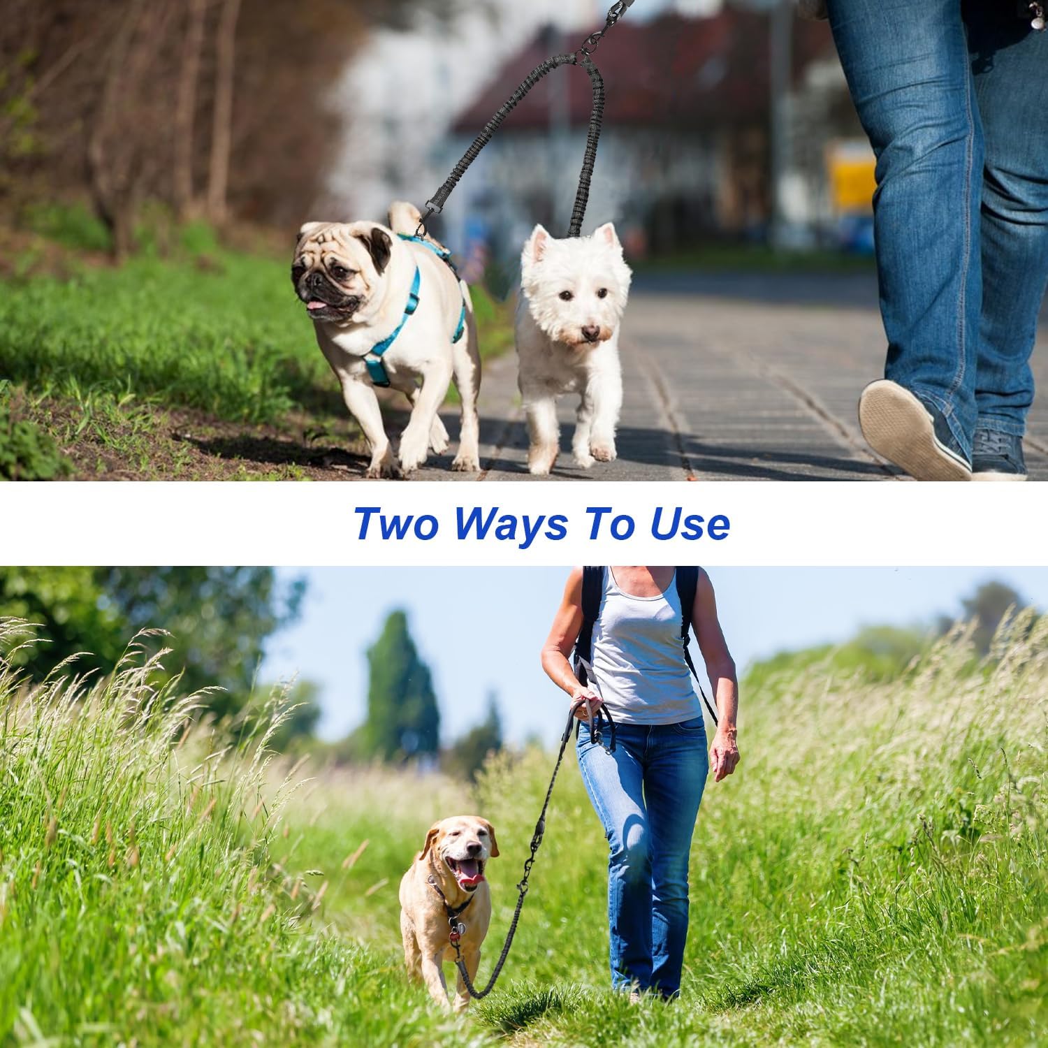 Premium black twin dog lead splitter by MingXpets packaged for pet owners