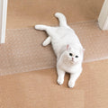 Uross carpet protector for pets front view in clear plastic