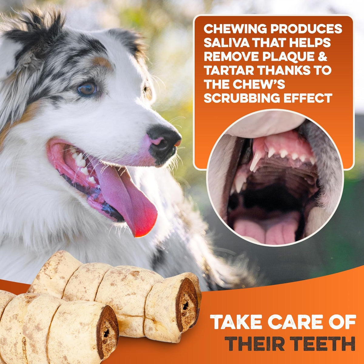 Healthy protein rich single ingredient canine treats packaging.
