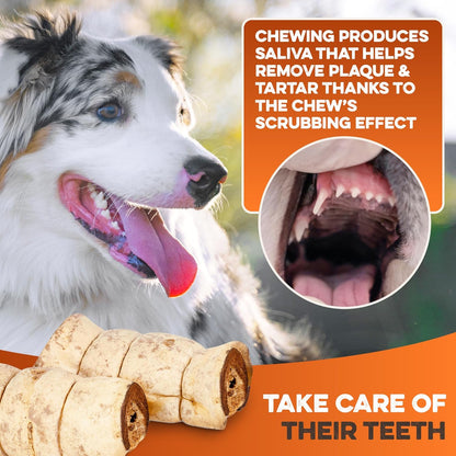Healthy protein rich single ingredient canine treats packaging.