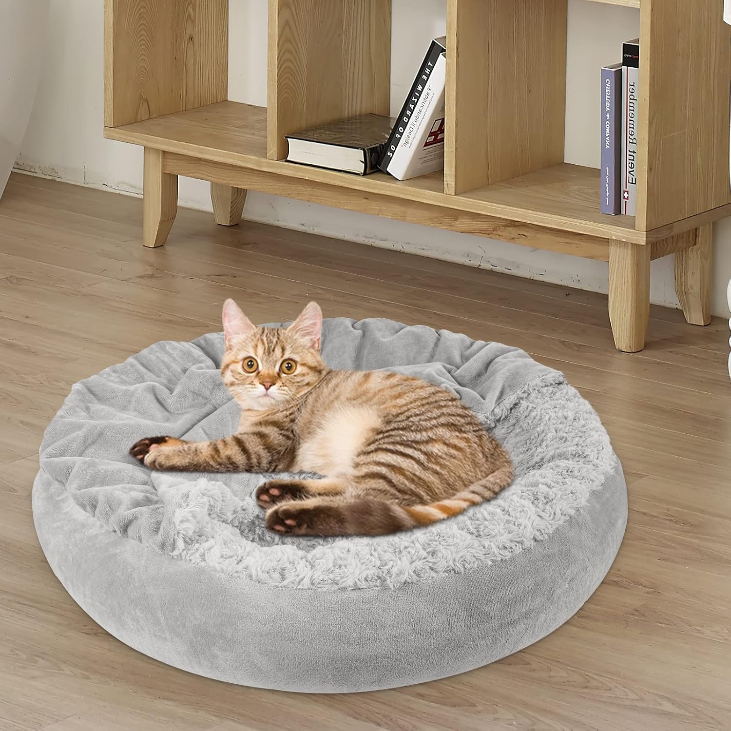 Small cat resting inside Joejoy burrow cave bed