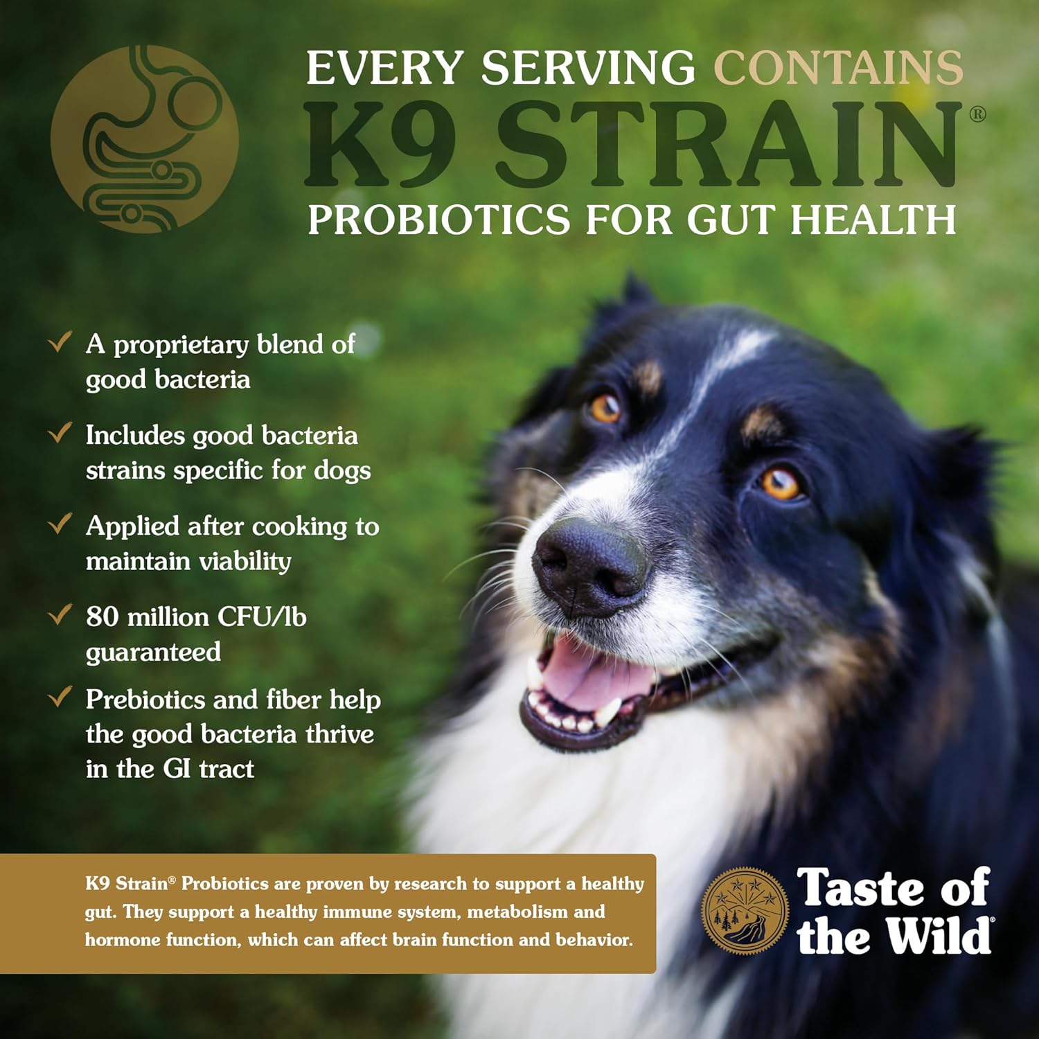 Taste of the Wild Wetlands premium wild fowl recipe high protein dog food side panel