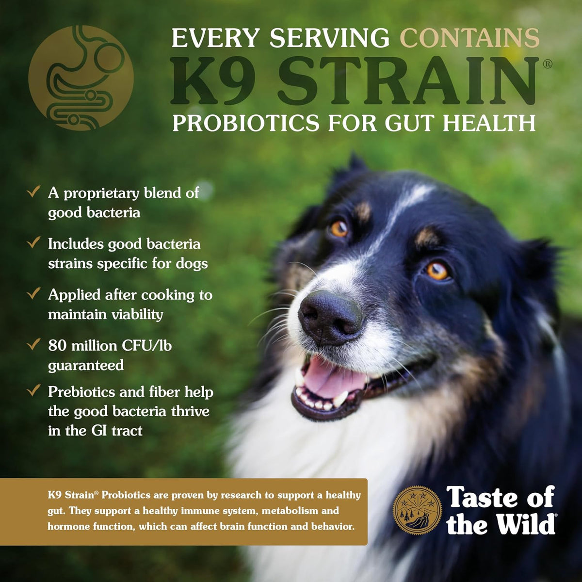 Taste of the Wild Wetlands premium wild fowl recipe high protein dog food side panel
