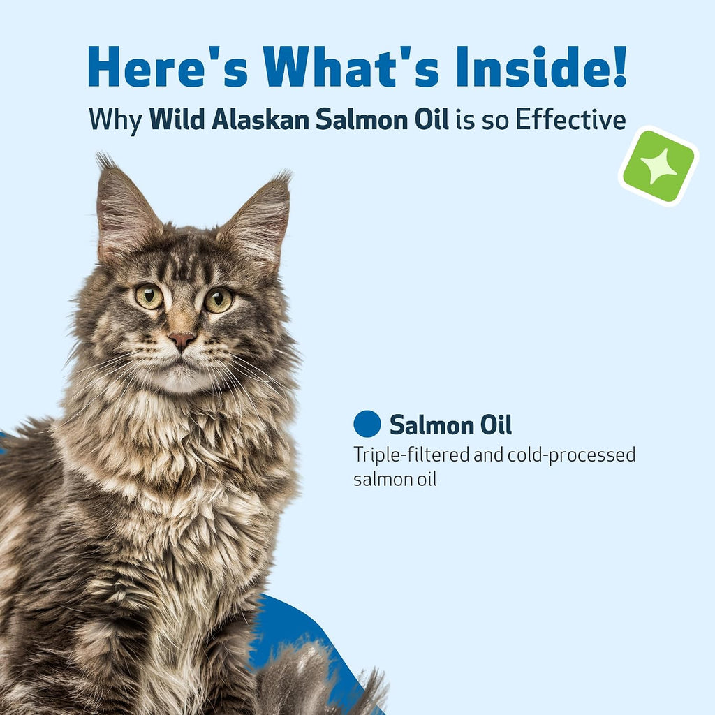 Premium cold processed pet wellbeing cat skin and coat supplement