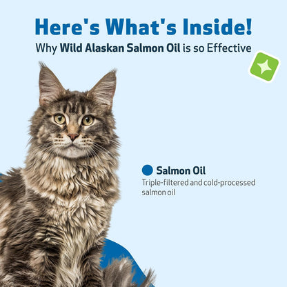 Premium cold processed pet wellbeing cat skin and coat supplement