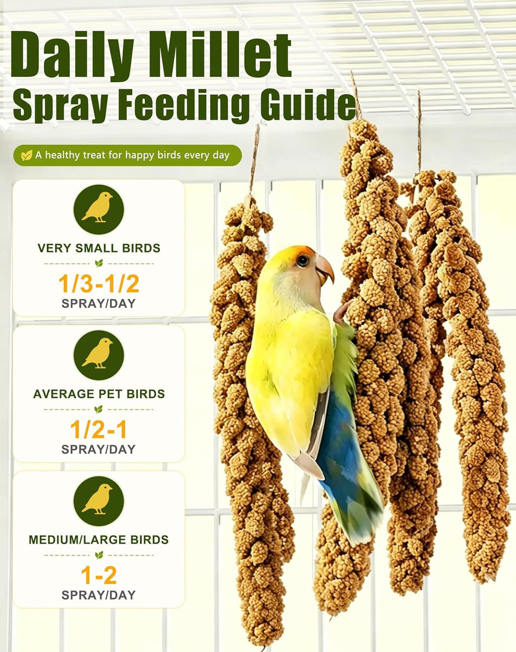 Full bundle of sun dried bird millet spray stalks