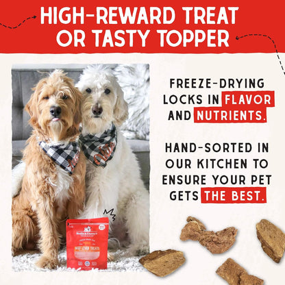 Stella and Chewys USA imported freeze dried dog treats safe premium pet snack
