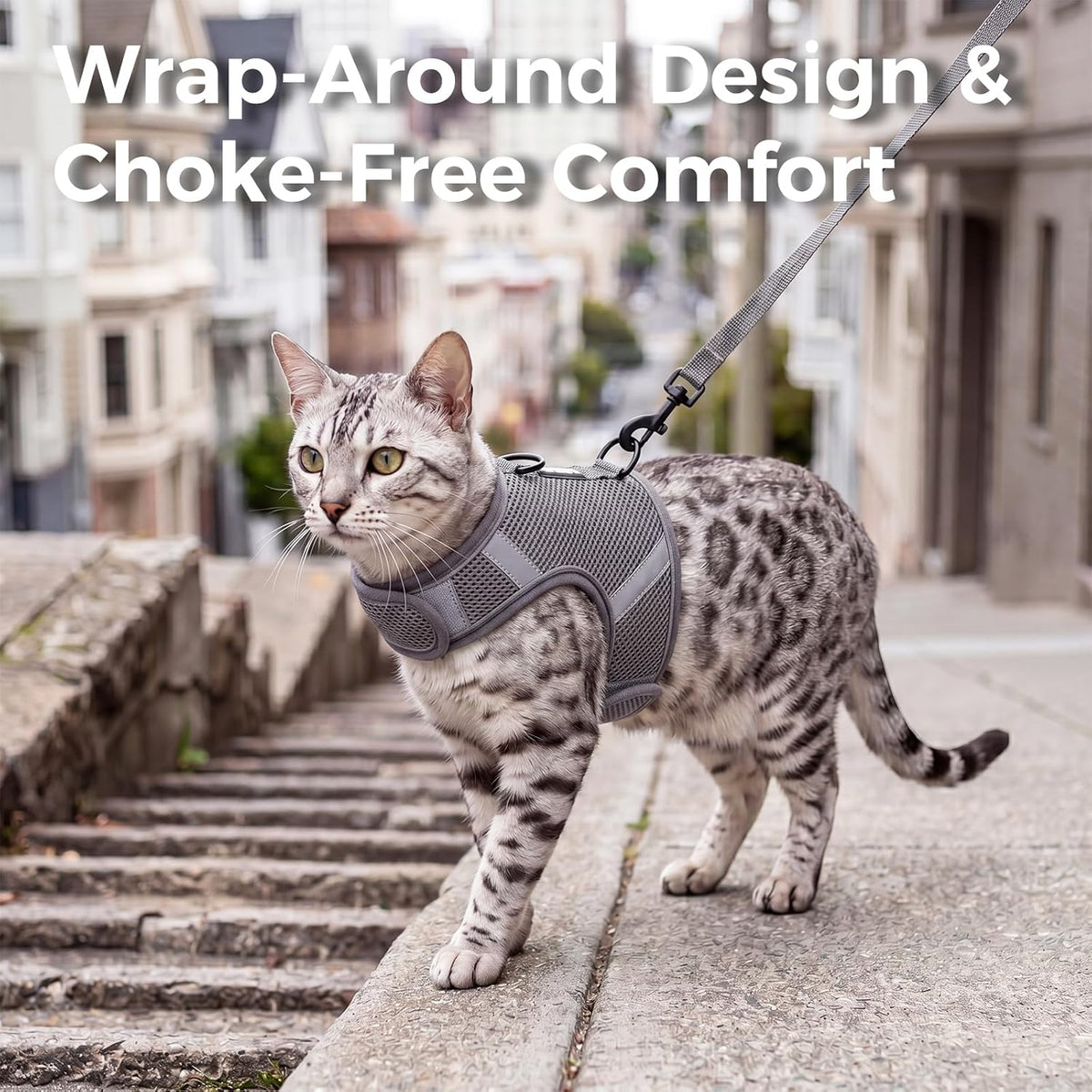 Breathable air mesh cat walking vest with dual metal D rings
