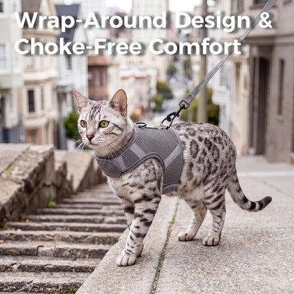 Breathable air mesh cat walking vest with dual metal D rings