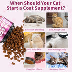Authentic USA imported pet supplement jar displayed against a clean background.