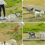 Mi Metty five feet chew resistant steel cable dog leash laid out on a flat surface.