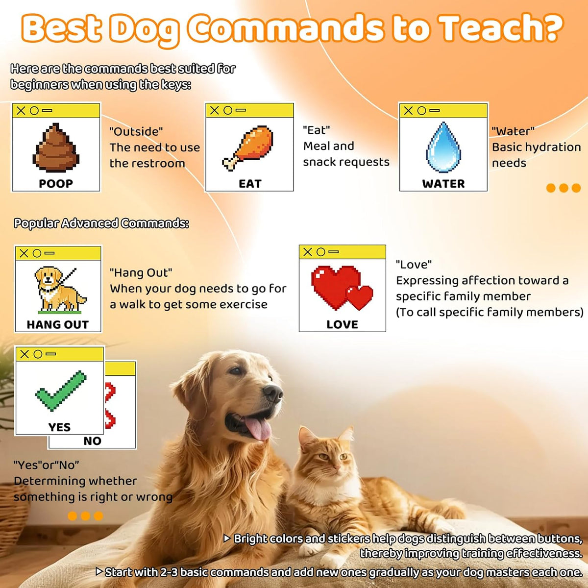 XIFOWE three piece pet communication starter kit with packaging box.