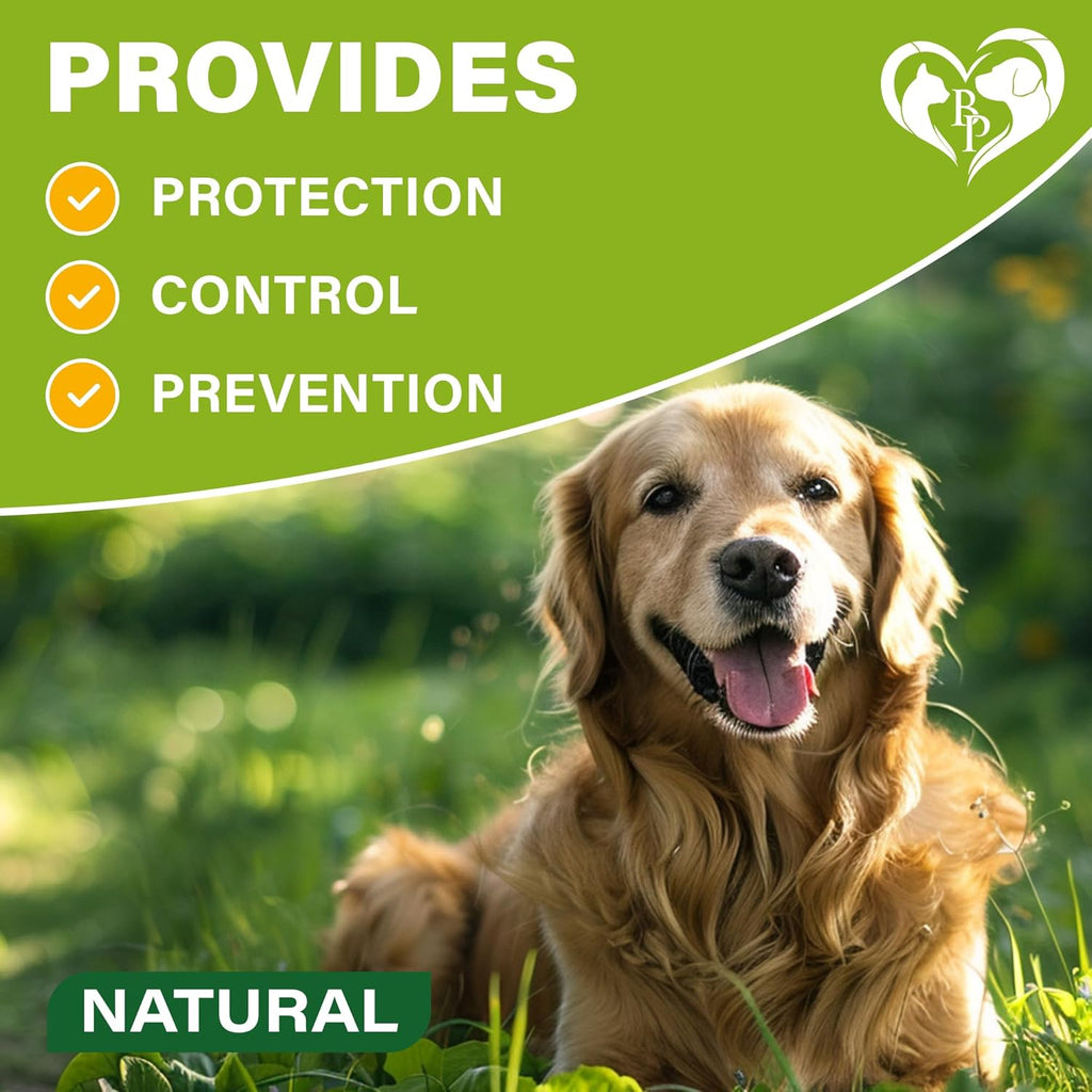 Diagram showing 6 months of flea and tick protection for dogs
