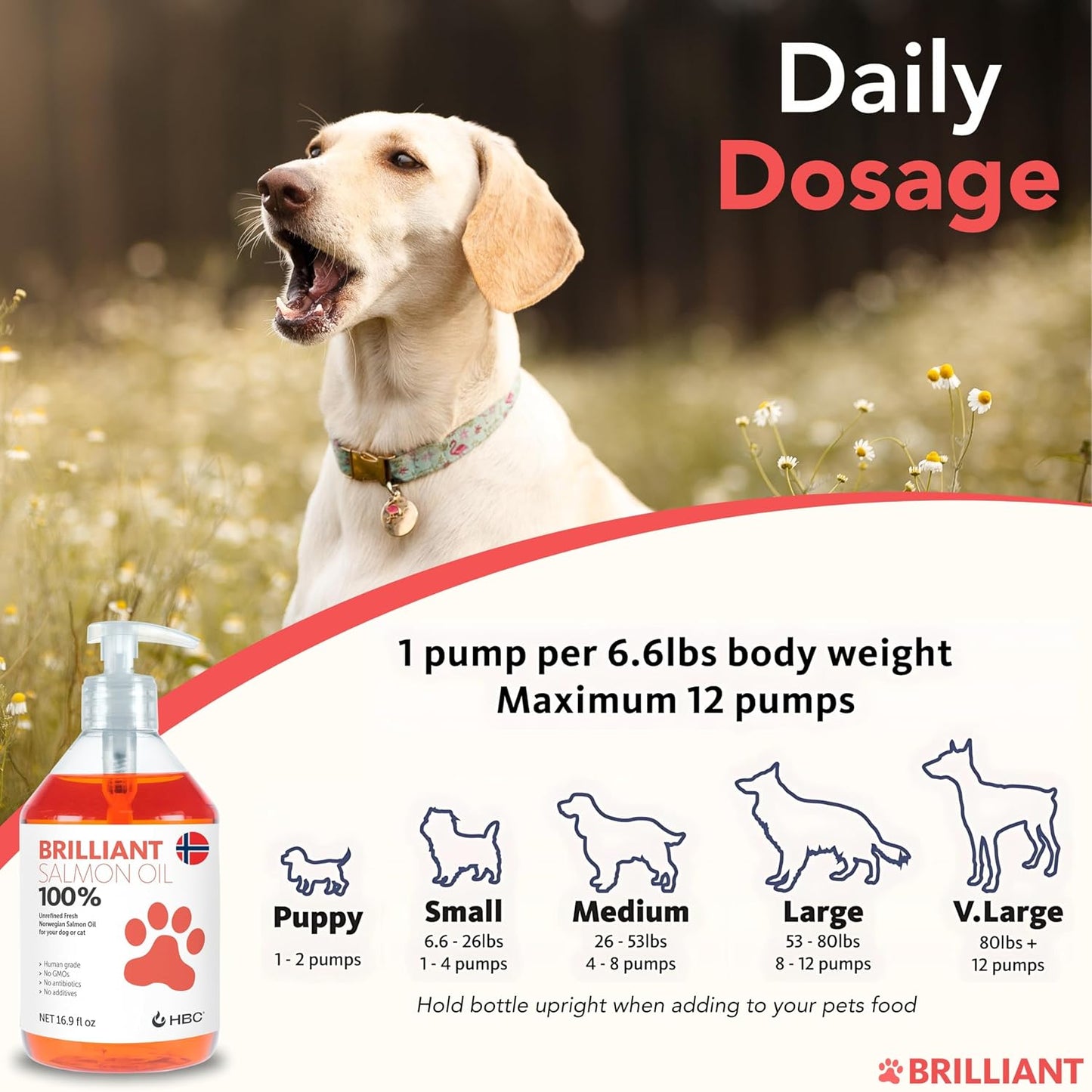 Hofseth BioCare authentic imported pet health supplement bottle on flat surface