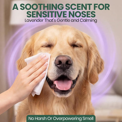 Bark And Clean USA imported dog wipes for paws and butt cleaning.