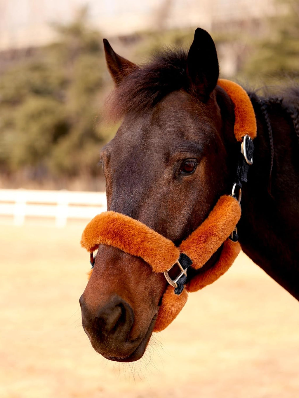 Harrison Howard Fleece Halter Covers for Horses, Set of 9, Prevent Hair Loss Pressure Marks, Padded Horse Halter Fleece Set Black - Image 9